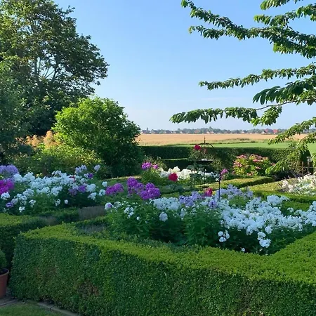 Schoof No1 Daire Friedrichskoog